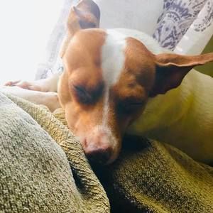 Meet your Posher, Kayla